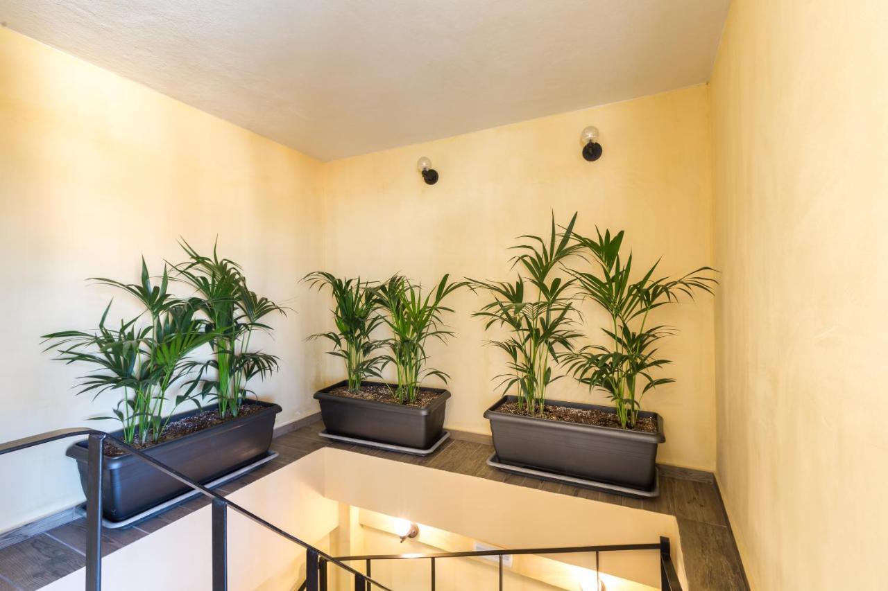 C Suites 罗希姆诺 外观 照片